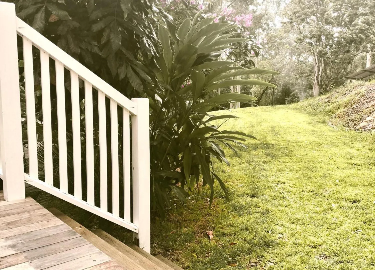 度假居 Private Bush & Beach Retreat Eudlo 澳大利亚